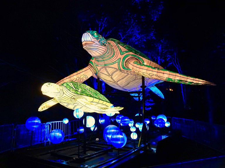Illuminated sea turtles at the Taronga Vivid installation