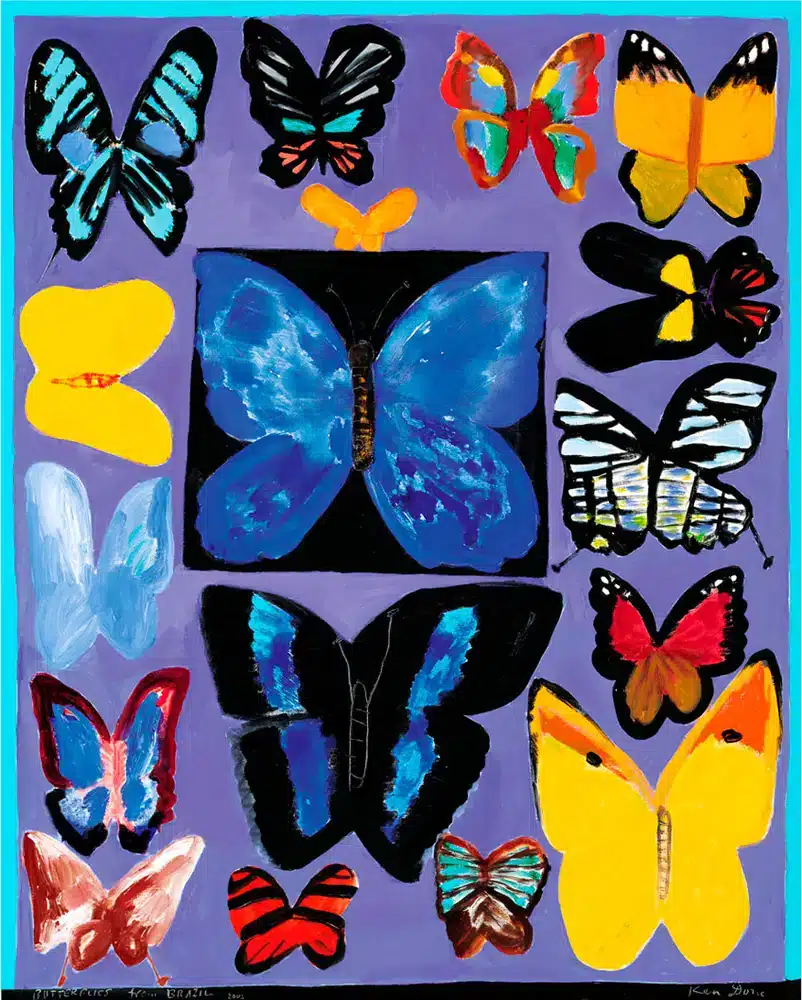 Butterflies from Brazil, 2003 - Image 2