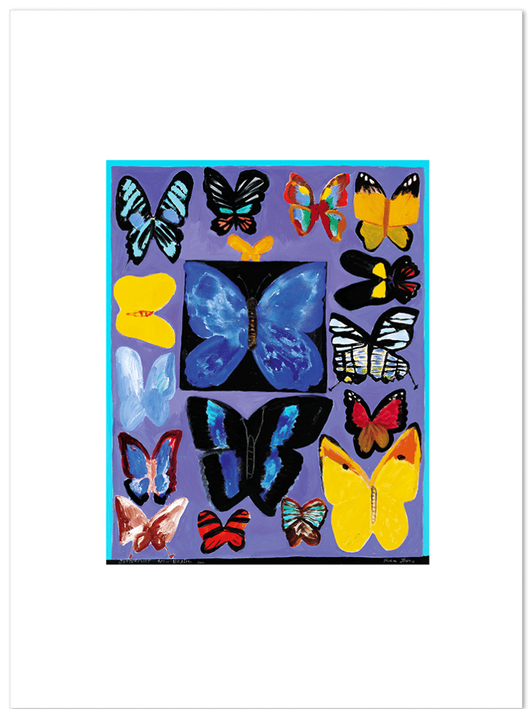 Butterflies from Brazil, 2003