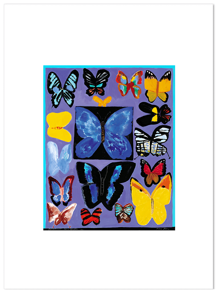Butterflies from Brazil, 2003
