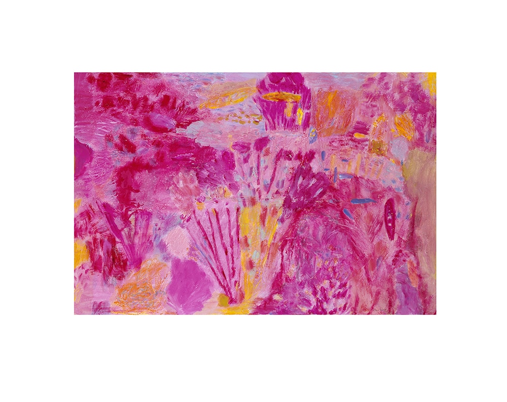 Hot pink reef, 2003