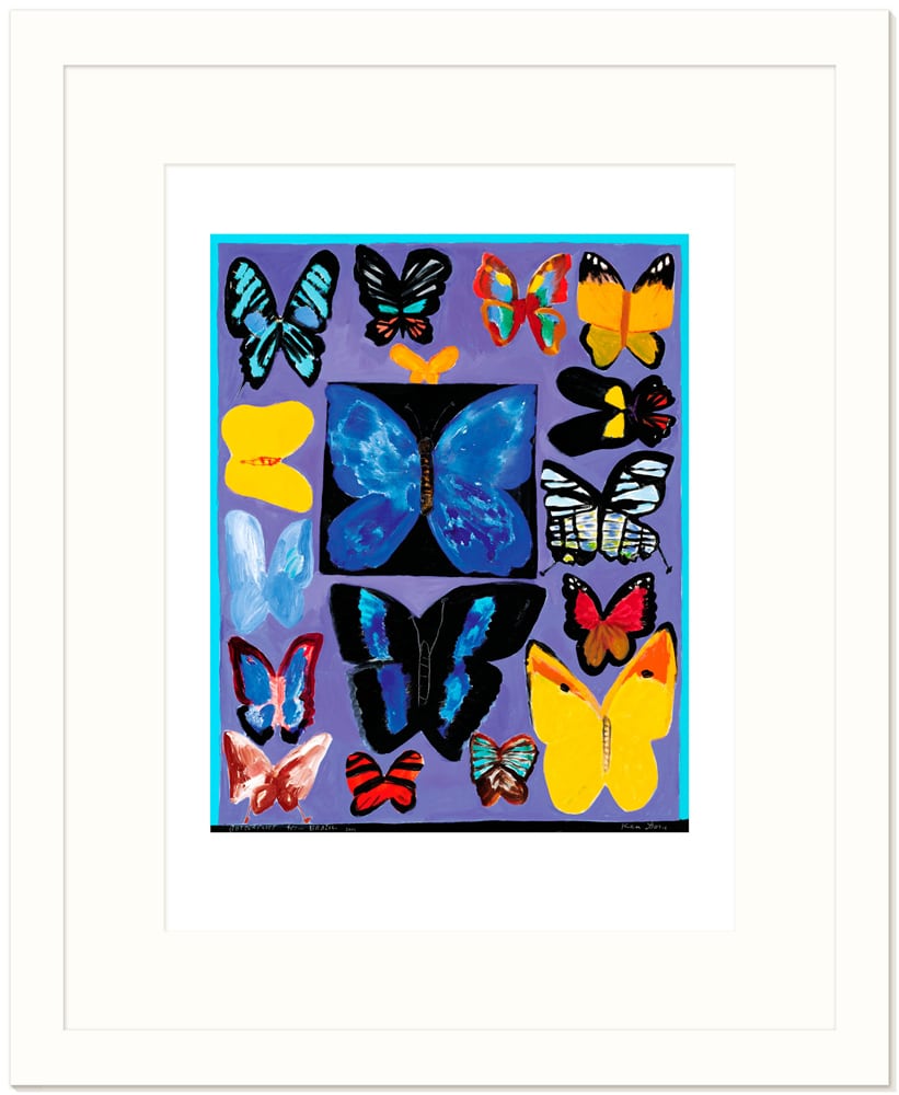 Butterflies from Brazil, 2003 - Image 4